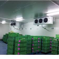 Kho lạnh bảo quản sầu riêng