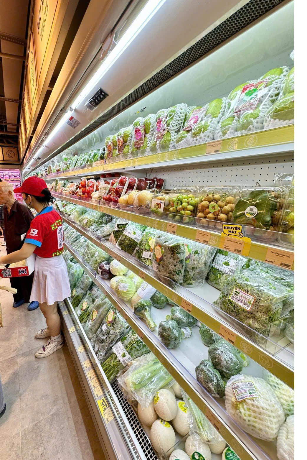 Tủ mát công nghiệp