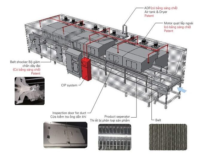 Hầm cấp đông chuyên dụng