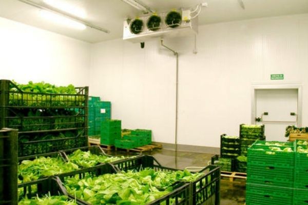 Kho đông bảo quản nông sản