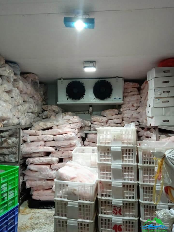 Kho đông lạnh hải sản