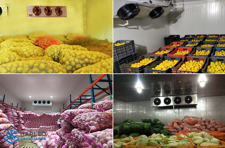 Lắp đặt kho lạnh bảo quản nông sản