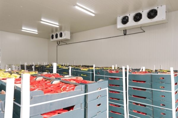 Kho lạnh bảo quản nông sản