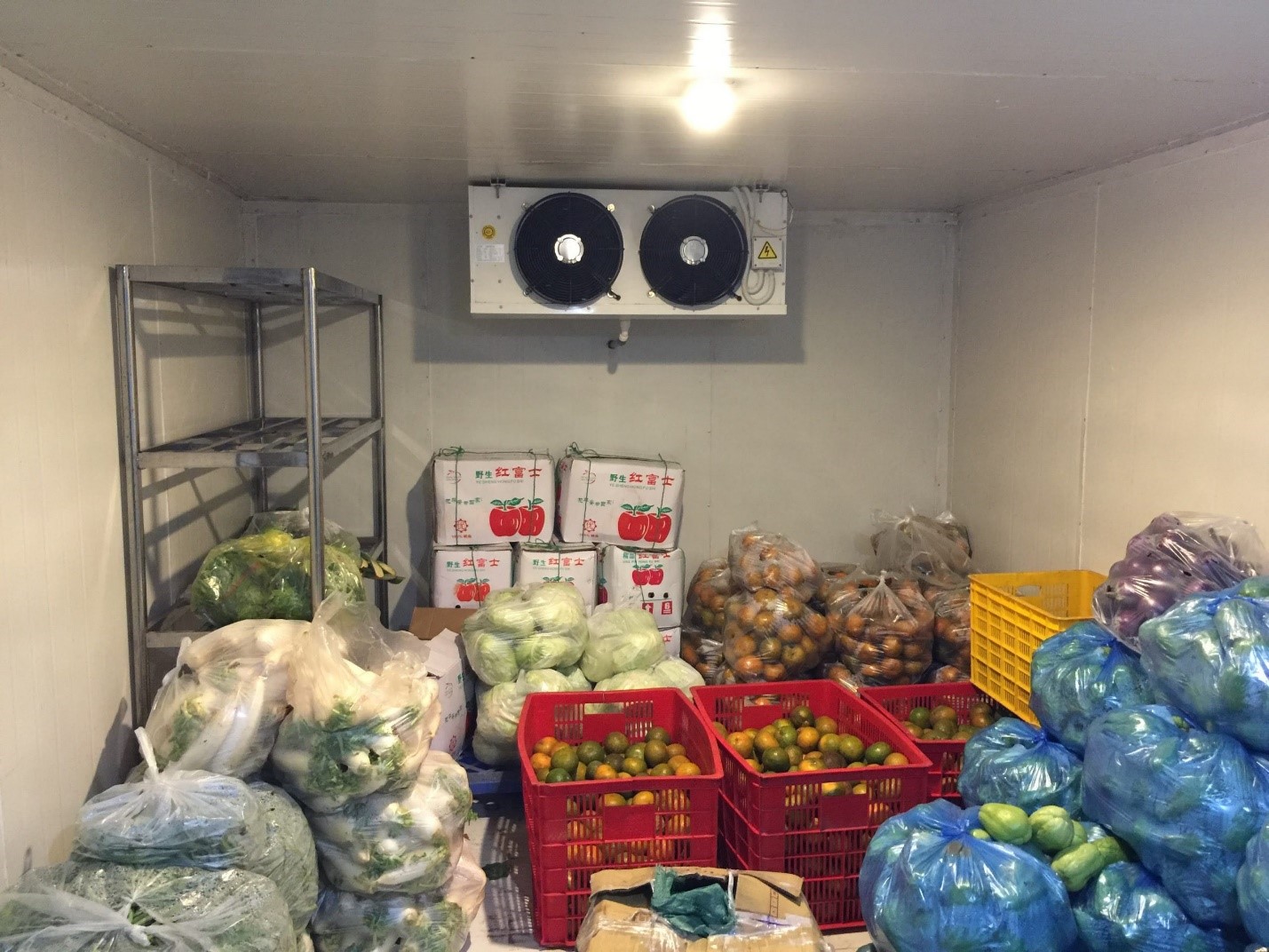 Kho lạnh bảo quản thực phẩm